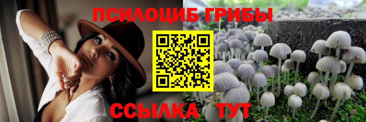 Псилоцибиновые грибы ЛСД  Псилоцибиновые грибы Magic Shrooms  Вход с VPN  Новокубанск 