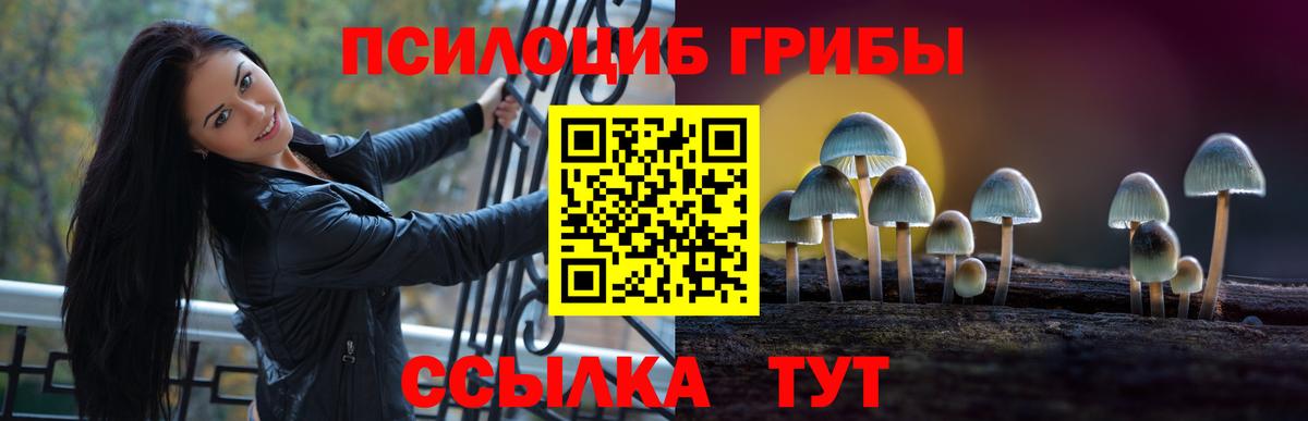 Псилоцибиновые грибы мицелий Новокубанск